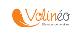 Volinéo